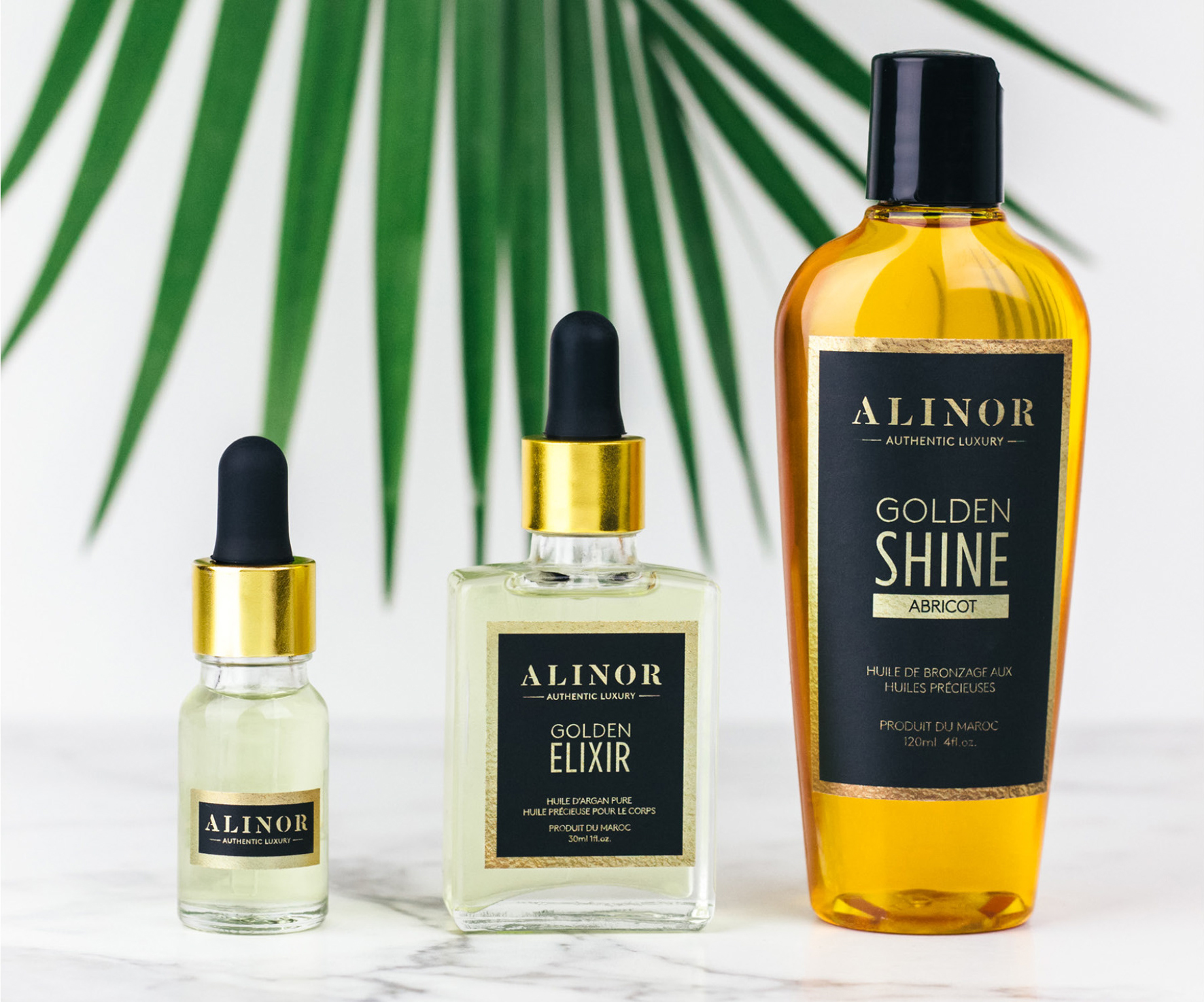 alinor-02